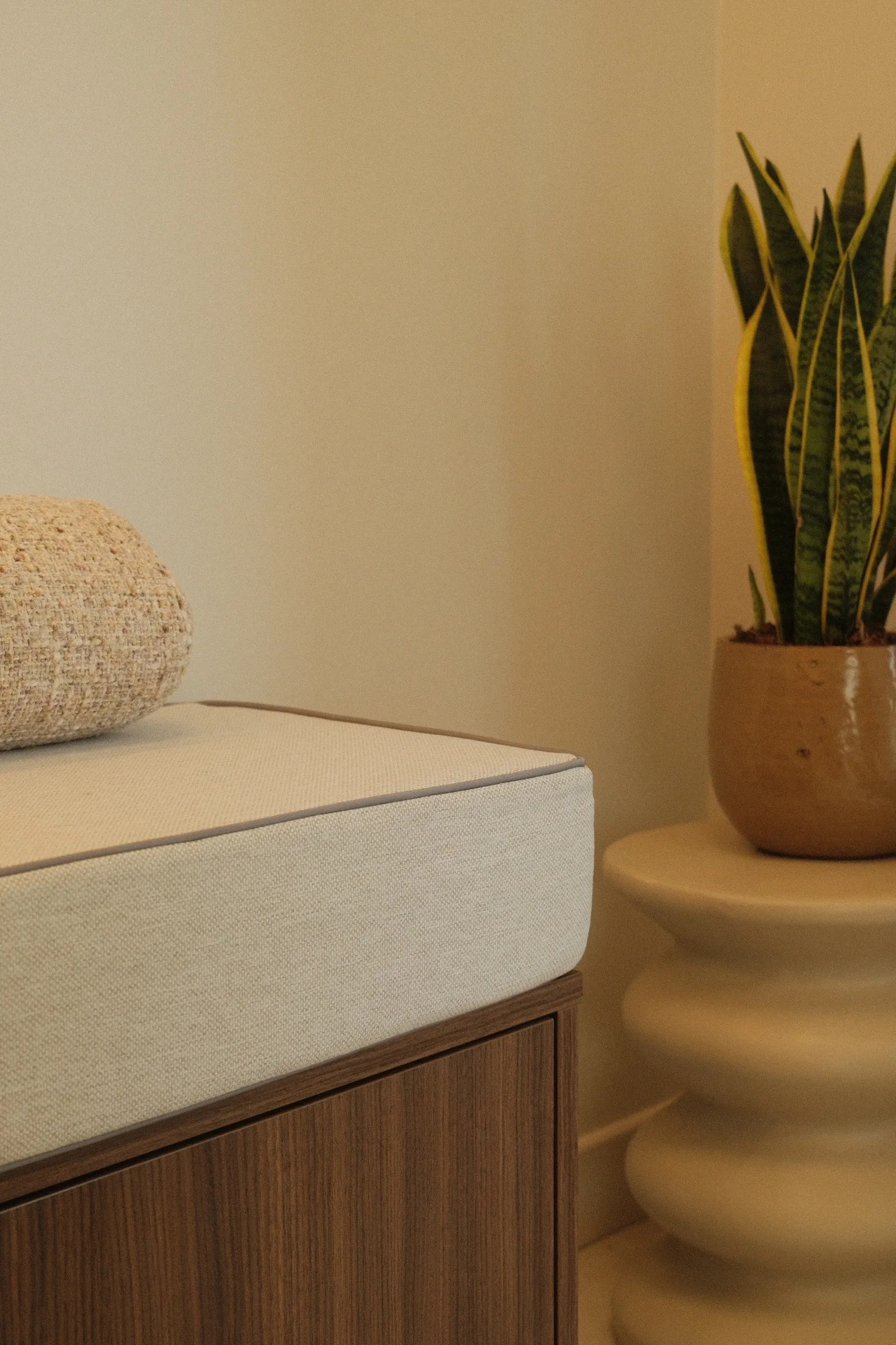 L'angle salon du studio : banquette en lin, coussin bouclette et sansevieria sur un guéridon en céramique.